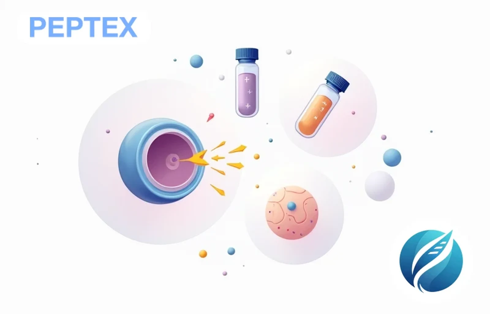 Peptides for Fat Burning — AOD-9604, MOTS-C | PEPTEX