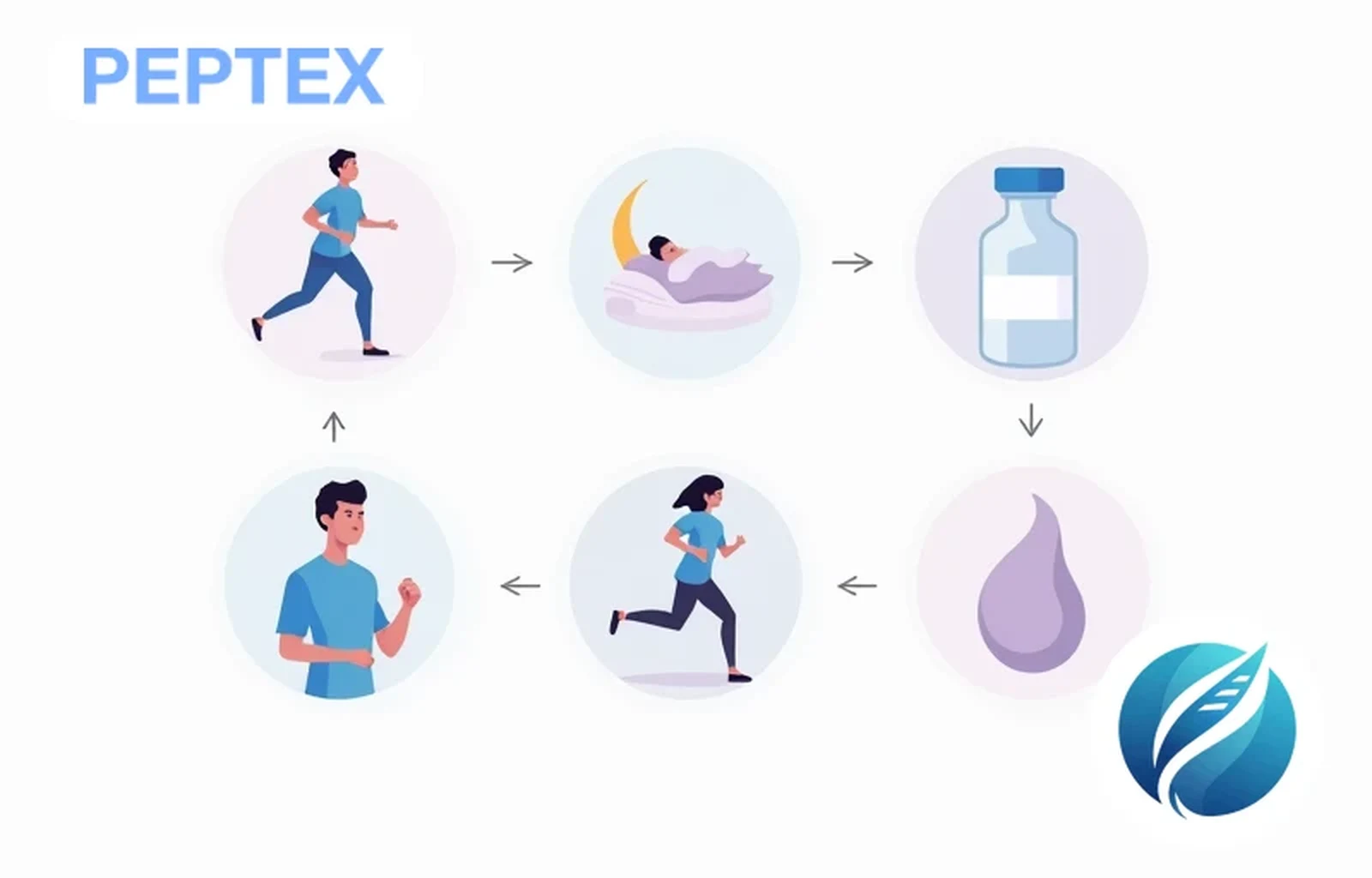 Peptides pour la récupération — Protocole complet | PEPTEX